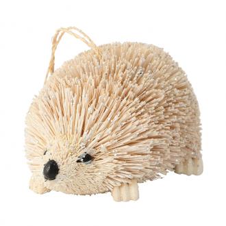 WHITE BRISTLE HEDGEHOG DEC 2AS_002_耳なし