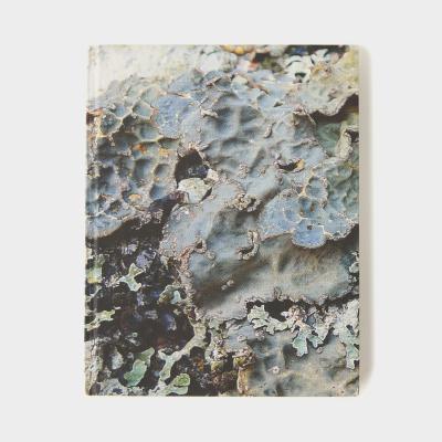 BRYOPHYTES AND LICHENS OF LETTEREWE