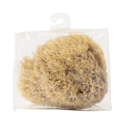 HYDREA LONDON（ハイドレア　ロンドン)HC/5.5N 5-5.5. SPONGE