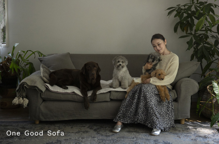 One Good Sofa