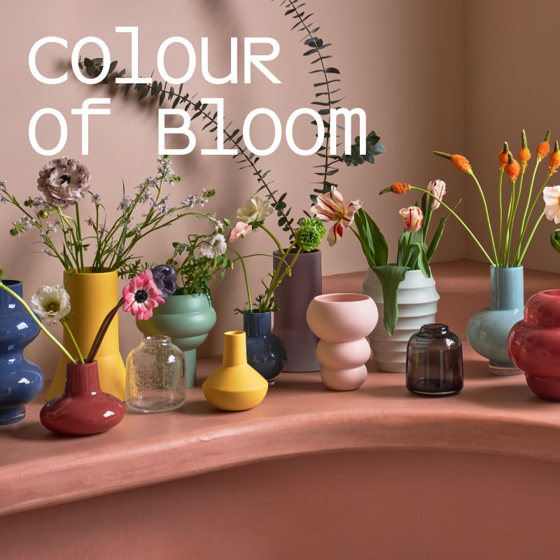 Colour of Bloom